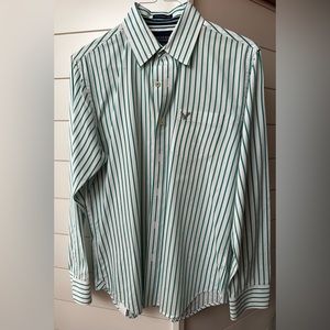 Vintage Fit American Eagle Outfitters Green and White Mens Button Down - medium